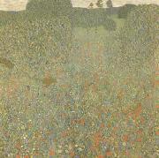 Poppy Field (mk20) Gustav Klimt